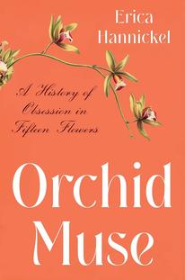 Cover image of Orchid Muse, white text on orange background with title name